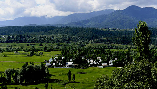  Kupwara - J&K